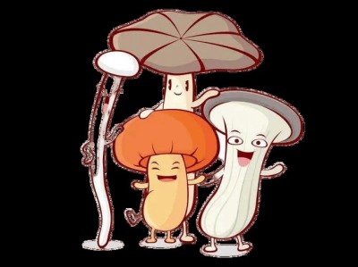 盒马鲜生误送水仙致消费者中毒事件，食品安全警钟再次敲响的警示信号。