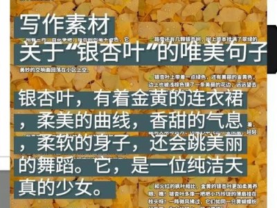 银杏秋韵，一叶知味，品茗中感受季节的更迭与自然的馈赠。