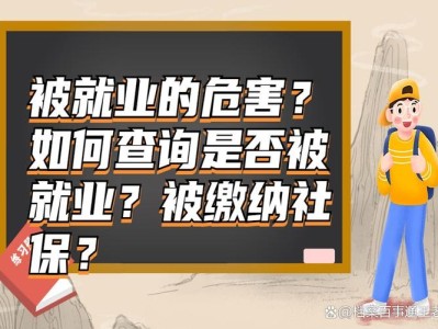 揭秘博士生隐身就业，6家公司社保记录背后的真相