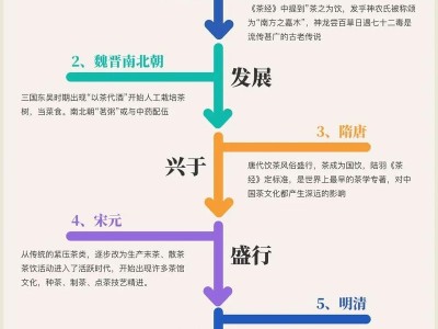 从消费到分享，品茶的场域变迁与纯粹之美的探索