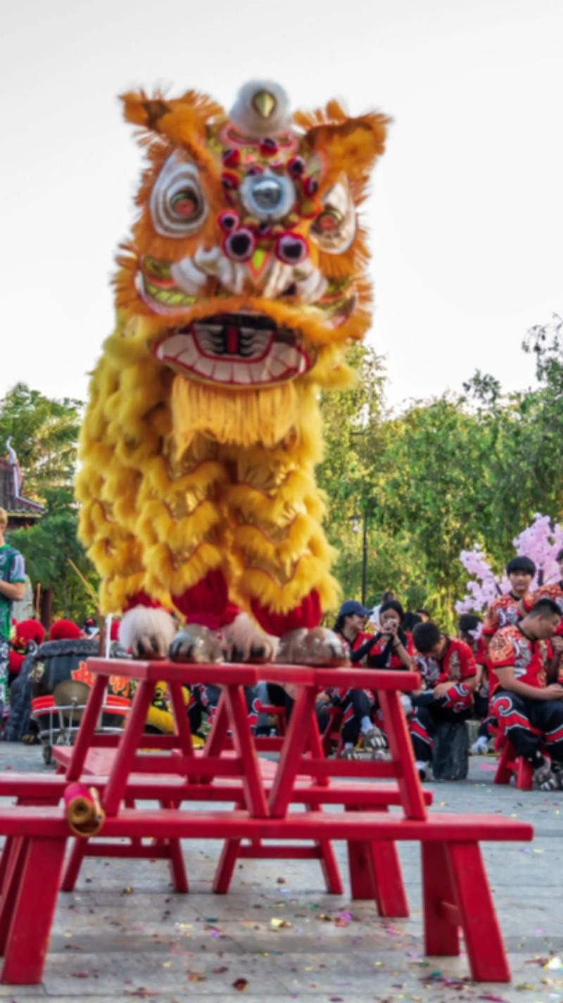 雨中坚守的醒狮，无畏风雨的力量展示