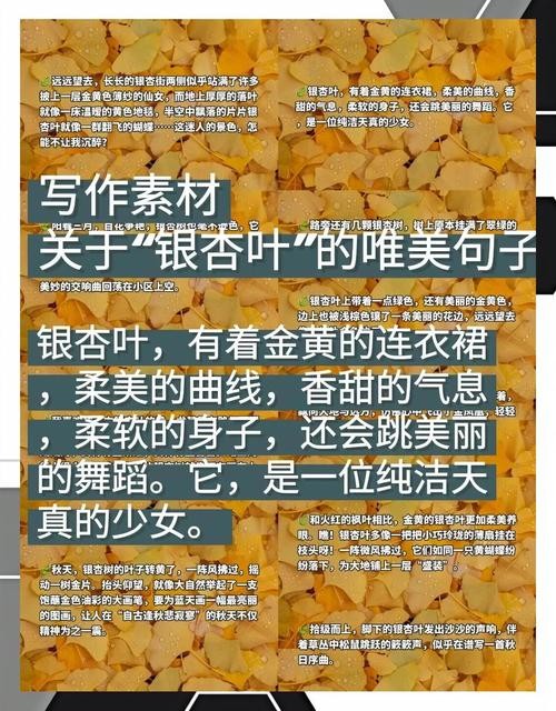 银杏秋韵，一叶知味，品茗中感受季节的更迭与自然的馈赠。
