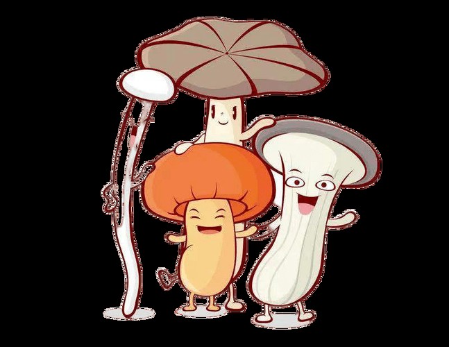 盒马鲜生误送水仙致消费者中毒事件，食品安全警钟再次敲响的警示信号。