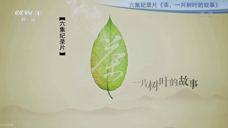 一片叶子的旅行，茶的流动性与水土新故事